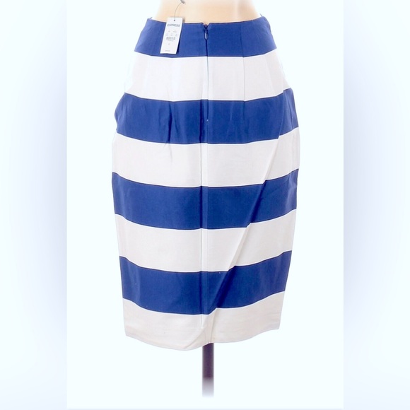 Blue and White Striped Skirt - Picture 3 of 4
